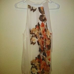 Shear Sleeveless blouse